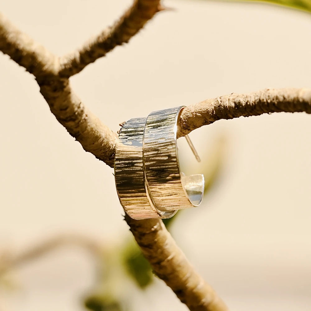 תקריב של עגילי ריקוע פסים מכסף על רקע טבעי, מדגיש את הגימור המוקפד והאומנותי.